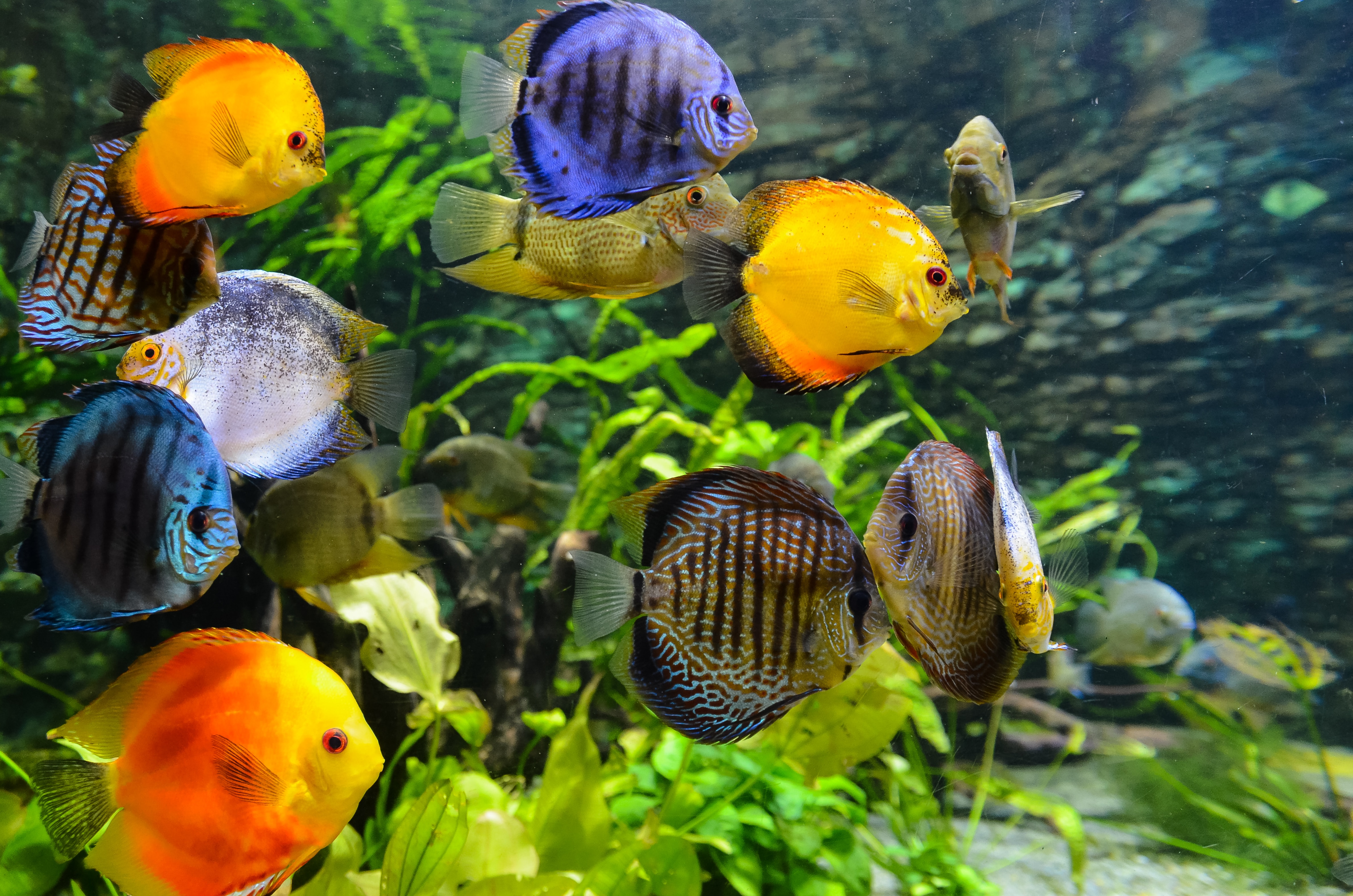 SEA LIFE Scheveningen